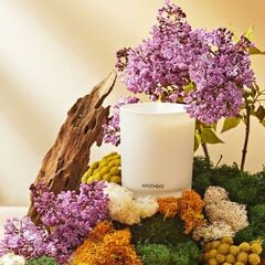 Apotheke White Vetiver Classic Scented Candle