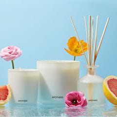 Apotheke Sea Salt Grapefruit Reed Diffuser