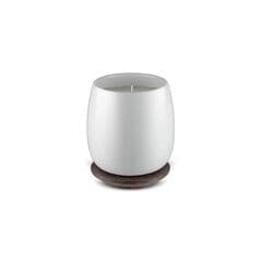 Alessi 5 Seasons 1 Wick Small Candle