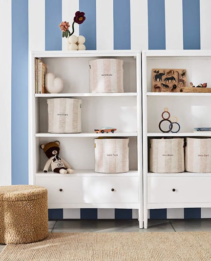 cat-kid-bookcase.jpg