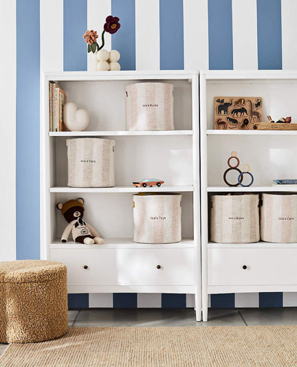 cat-kids-bookcase.jpg