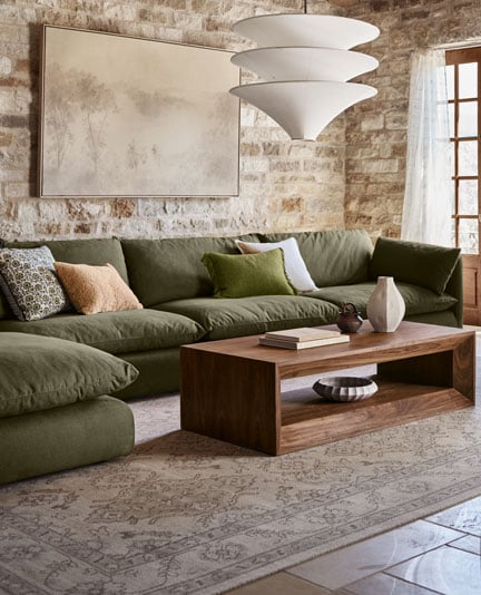 catfruniture-living-room.jpg