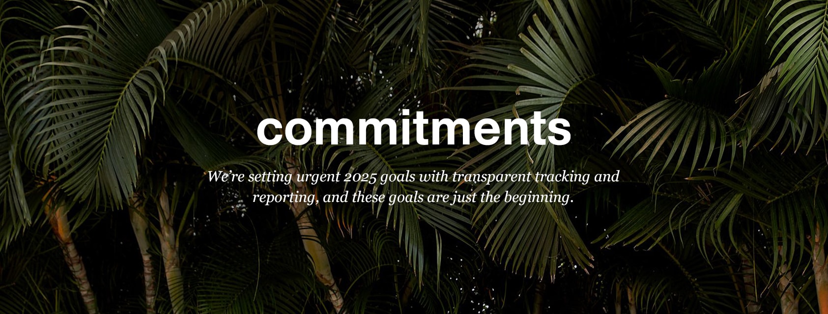 commitments-Desktop.jpg