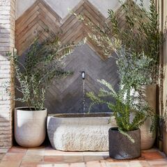 475473_CNB CB_SU22_OD_13_304_Vert_001