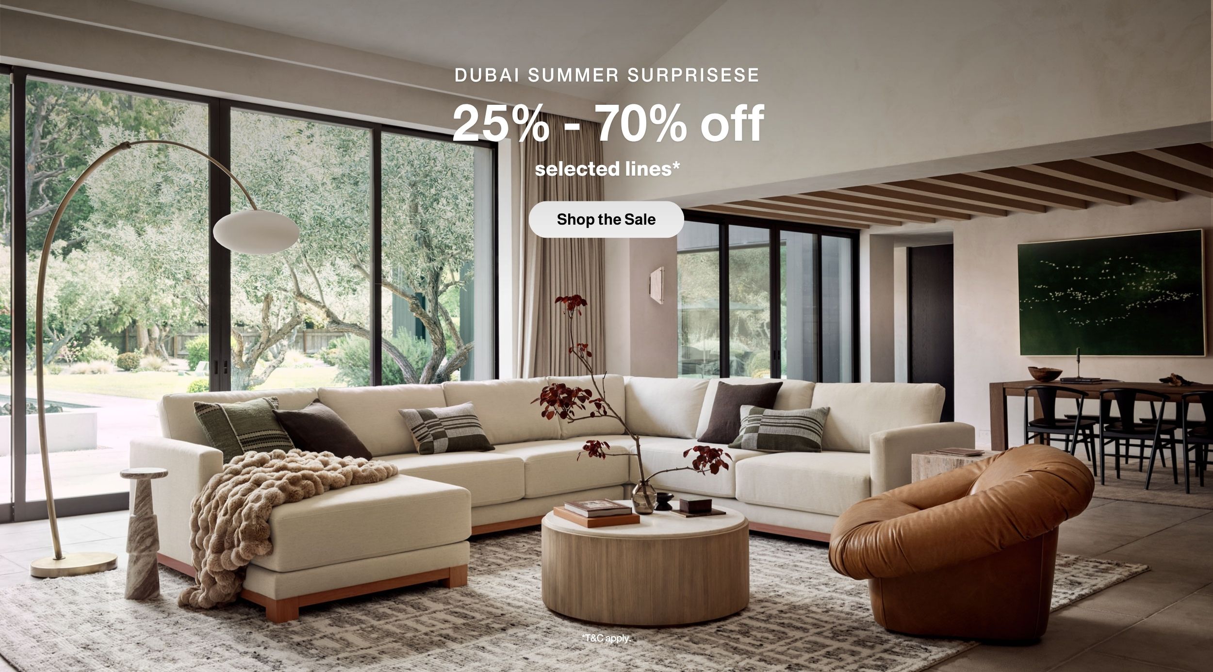 dCNB_UAE_DSS_banner.jpg